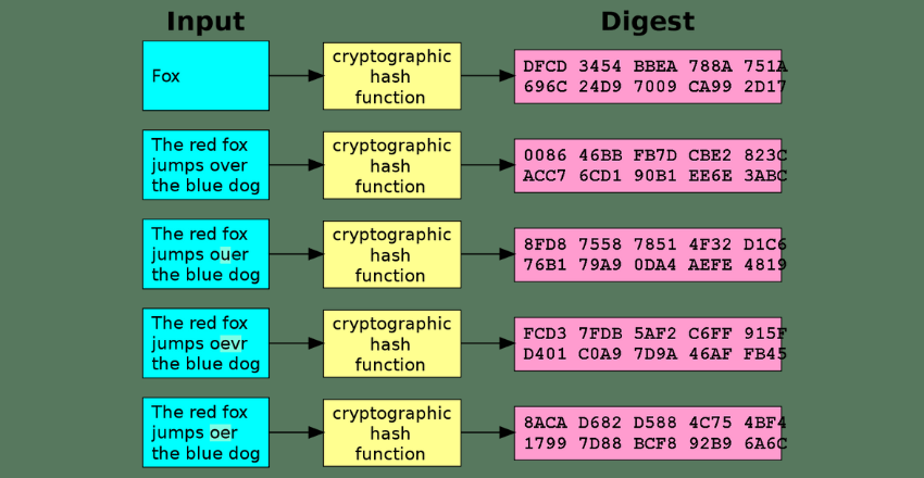 Best practices for data encryption in software development - BizCoder